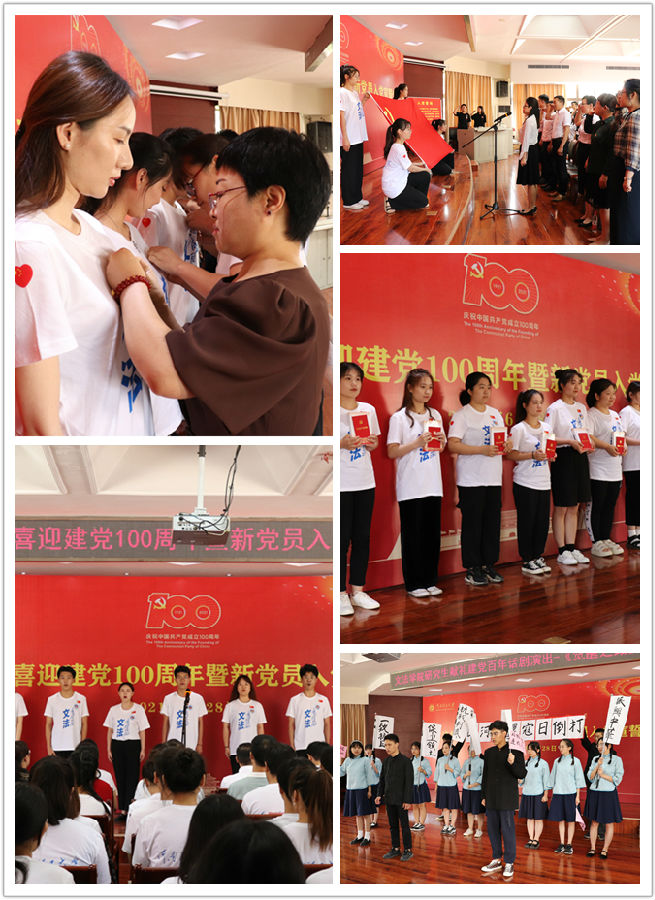 佩戴党徽_副本.jpg