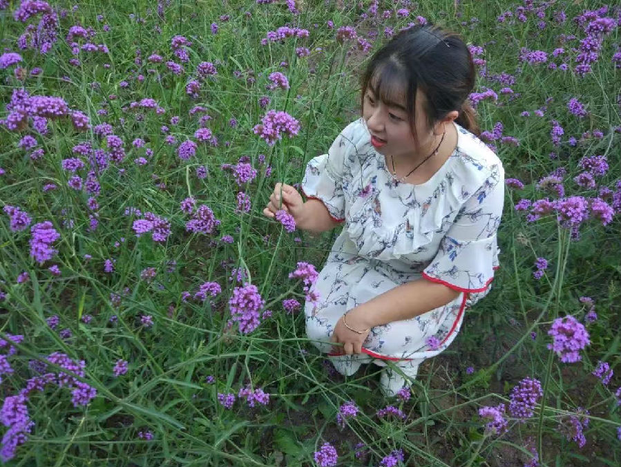 杨茜.jpg